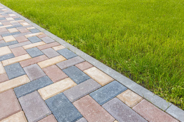 Best Driveway Pavers for Homes  in Warren Af, WY